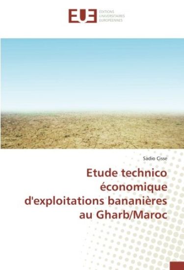 Etude technico économique d'exploitations bananières au Gharb/Maroc