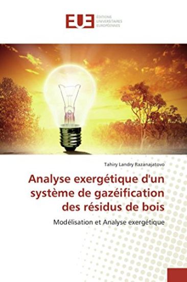Analyse exergétique d'un système de gazéification des résidus de bois