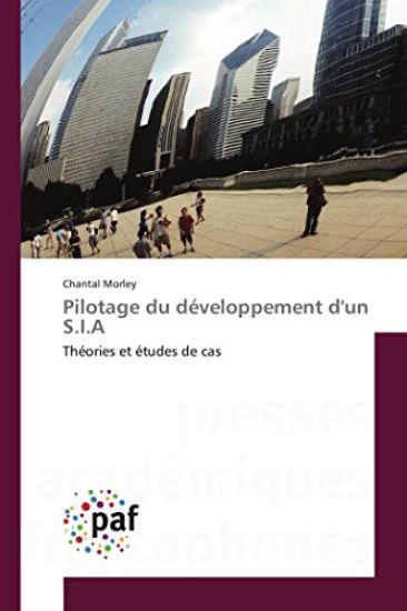 Pilotage Du Developpement d'Un S.I.a