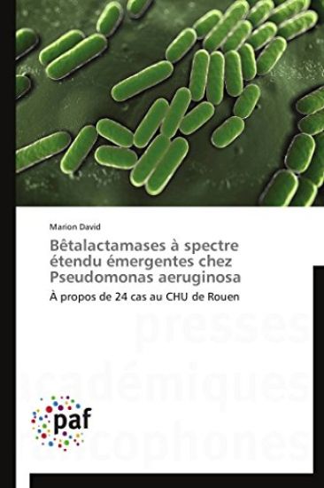 Bètalactamases À Spectre Étendu Émergentes Chez Pseudomonas Aeruginosa