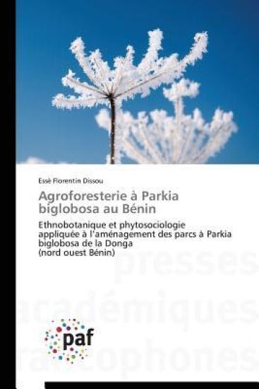 Agroforesterie A Parkia Biglobosa Au Benin