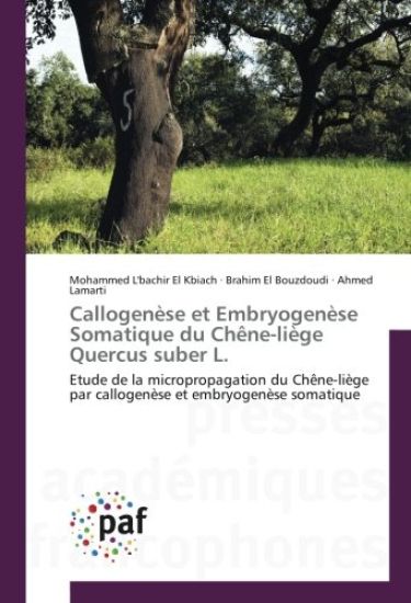 Callogenèse et Embryogenèse Somatique du Chêne-liège Quercus suber L.