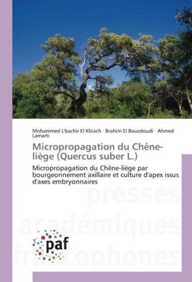Micropropagation du Chêne-liège (Quercus suber L.)