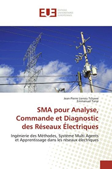 SMA pour Analyse, Commande et Diagnostic des Réseaux Électriques