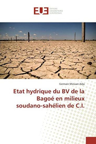 Etat Hydrique Du Bv de la Bagoé En Milieux Soudano-Sahélien de C.I.