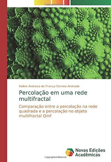 Percolação em uma rede multifractal