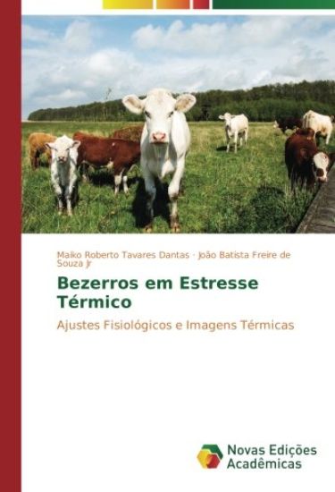 Bezerros em Estresse Térmico