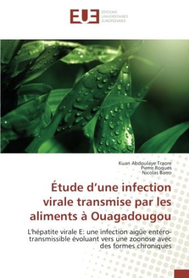 Étude d¿une infection virale transmise par les aliments à Ouagadougou