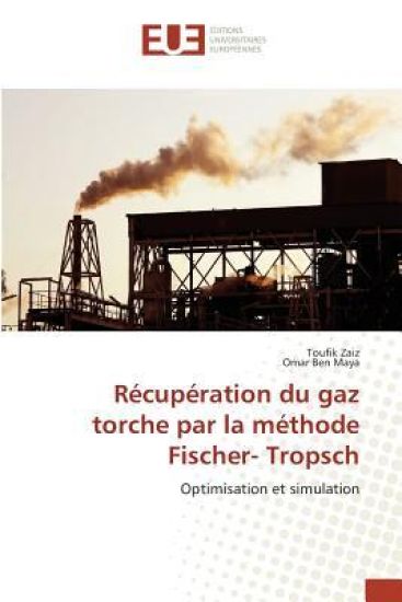 R?cup?ration Du Gaz Torche Par La M?thode Fischer- Tropsch