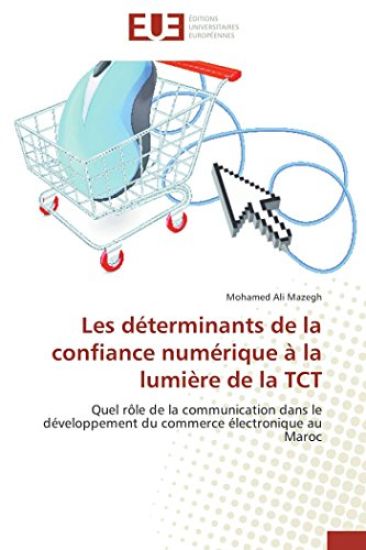 Les D?terminants de la Confiance Num?rique ? La Lumi?re de la Tct