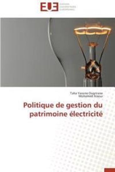 Politique de gestion du patrimoine électricité