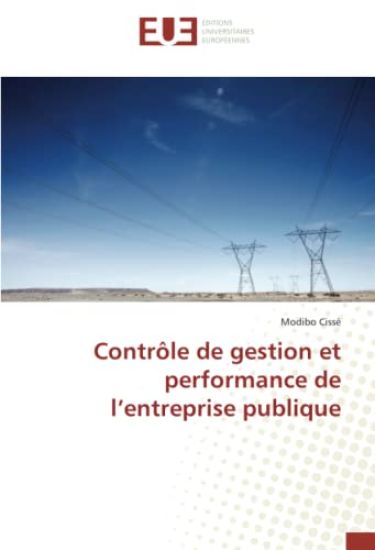 Contrôle de gestion et performance de l entreprise publique