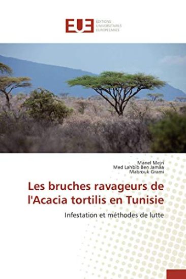 Les bruches ravageurs de l'Acacia tortilis en Tunisie