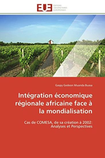 Intégration Économique Régionale Africaine Face À La Mondialisation