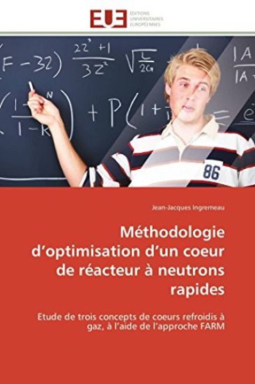 M?thodologie D Optimisation D Un Coeur de R?acteur ? Neutrons Rapides