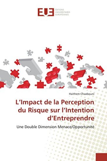 L Impact de la Perception Du Risque Sur L Intention D Entreprendre
