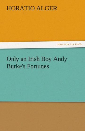 Only an Irish Boy Andy Burke's Fortunes