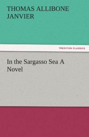 In the Sargasso Sea a Novel