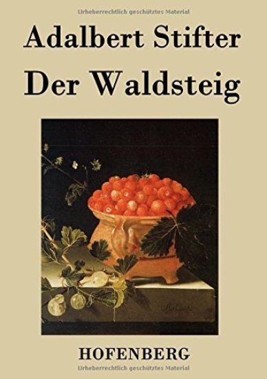 Der Waldsteig