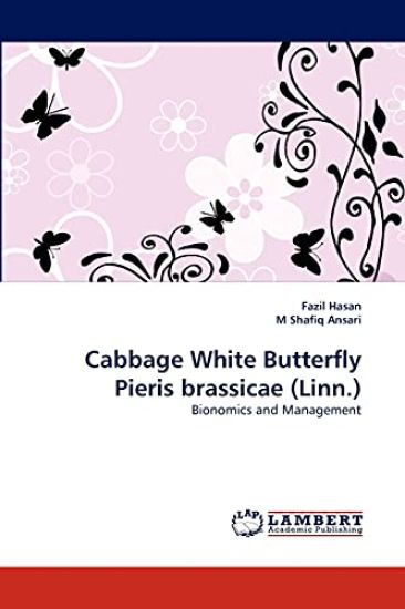 Cabbage White Butterfly Pieris brassicae (Linn.)