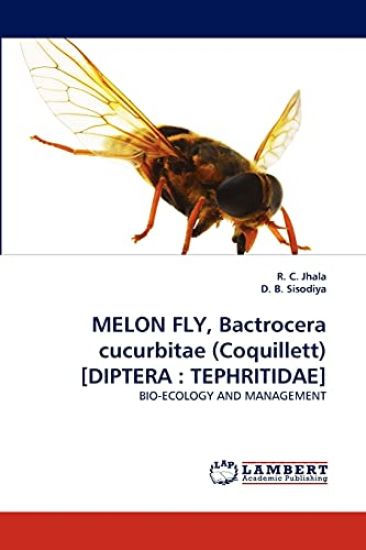 Melon Fly, Bactrocera Cucurbitae (Coquillett) [Diptera