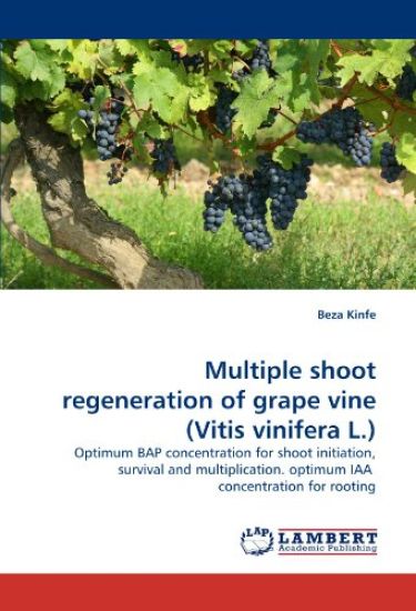 Multiple Shoot Regeneration of Grape Vine (Vitis Vinifera L.)