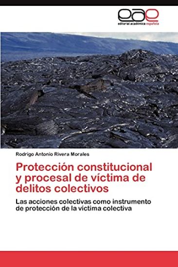 Protección constitucional y procesal de víctima de delitos colectivos
