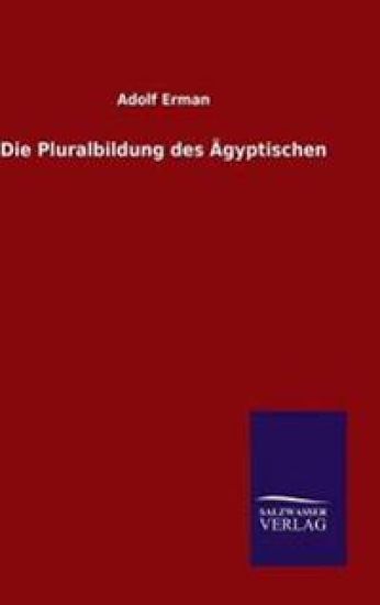 Die Pluralbildung des Ägyptischen