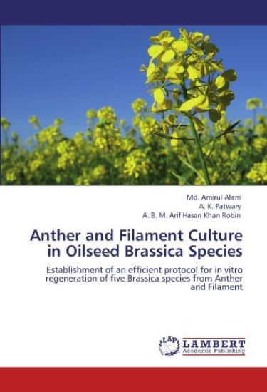 Anther and Filament Culture in Oilseed Brassica Species