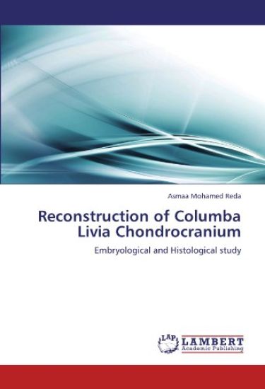 Reconstruction of Columba Livia Chondrocranium