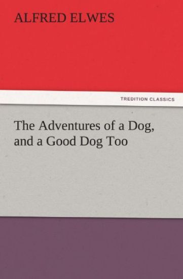 The Adventures of a Dog, and a Good Dog Too