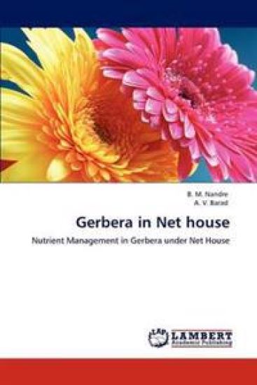 Gerbera in Net House