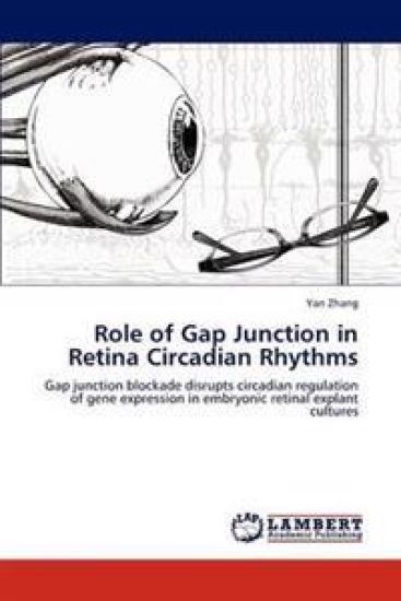 Role of Gap Junction in Retina Circadian Rhythms