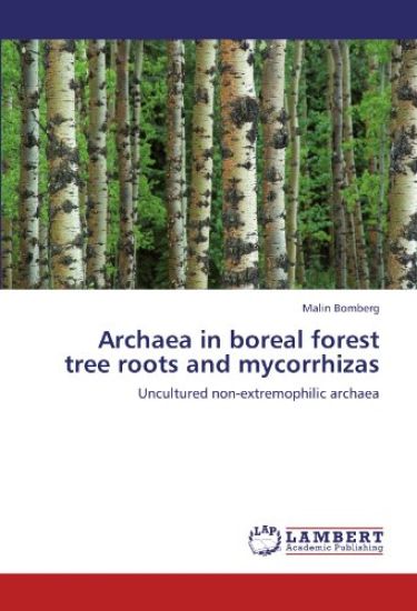Archaea in boreal forest tree roots and mycorrhizas