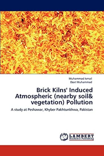 Brick Kilns' Induced Atmospheric (nearby soil & vegetation) Pollution