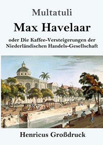 Max Havelaar (Großdruck)