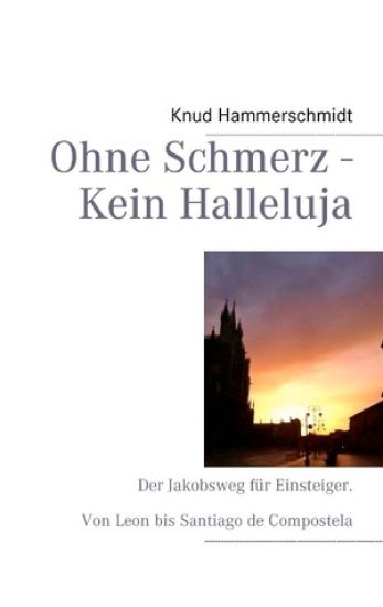 Ohne Schmerz - Kein Halleluja
