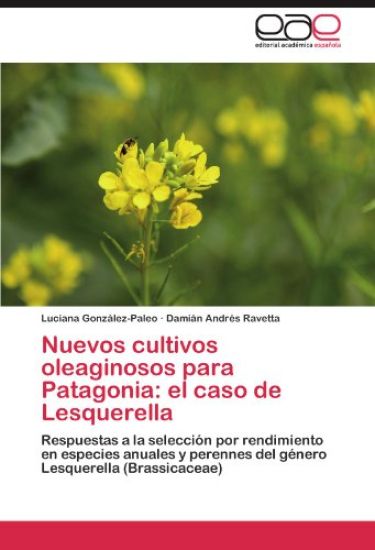 Nuevos cultivos oleaginosos para Patagonia: el caso de Lesquerella
