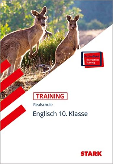 STARK Training Realschule - Englisch 10. Klasse