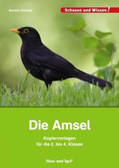 Küntzel, K: Amsel - Kopiervorl.  2.-4. Klasse