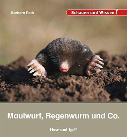 Maulwurf, Regenwurm und Co.