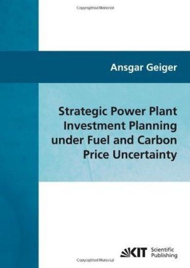 Strategic power plant investment planning under fuel and carbon price uncertainty
