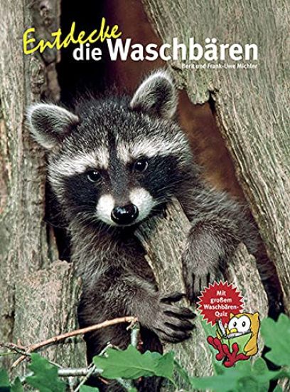 Entdecke die Waschbären