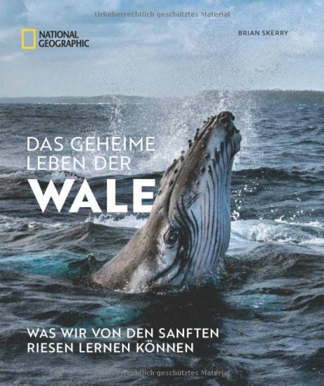 Das geheime Leben der Wale