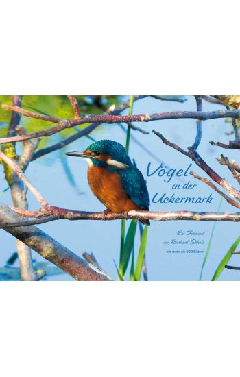 Vögel in der Uckermark