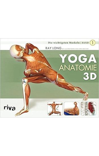 Yoga-Anatomie 3D
