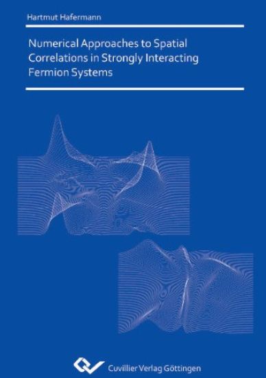 Numerical Approaches to Spatial Correlations in Strongly Interacting Fermion Systems