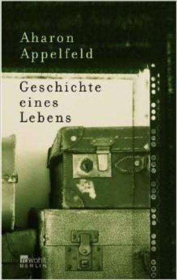 Geschichte eines Lebens