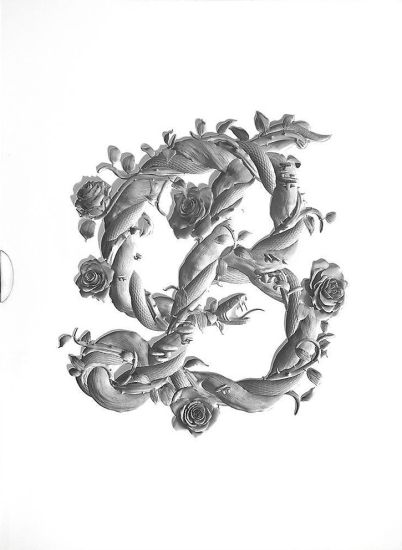 Sagmeister & Walsh: Beauty