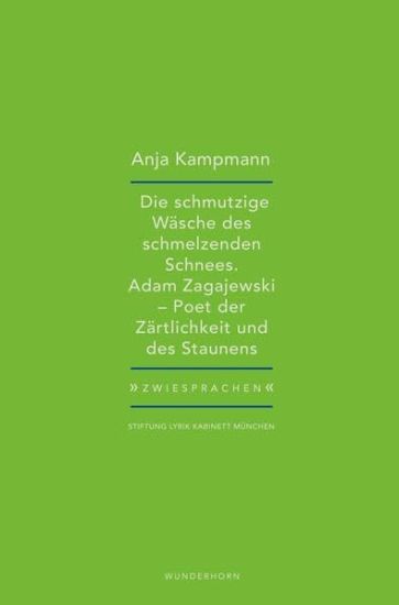 Die schmutzige Wäsche des schmelzenden Schnees